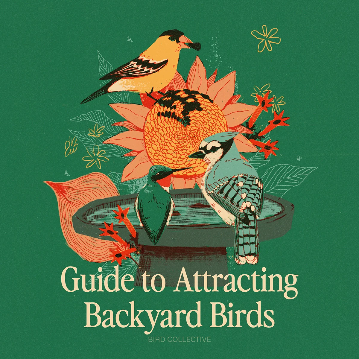 Illustrated backyard birds gathered around a birdbath with flowers, featuring colorful songbirds and the text “Guide to Attracting Backyard Birds.