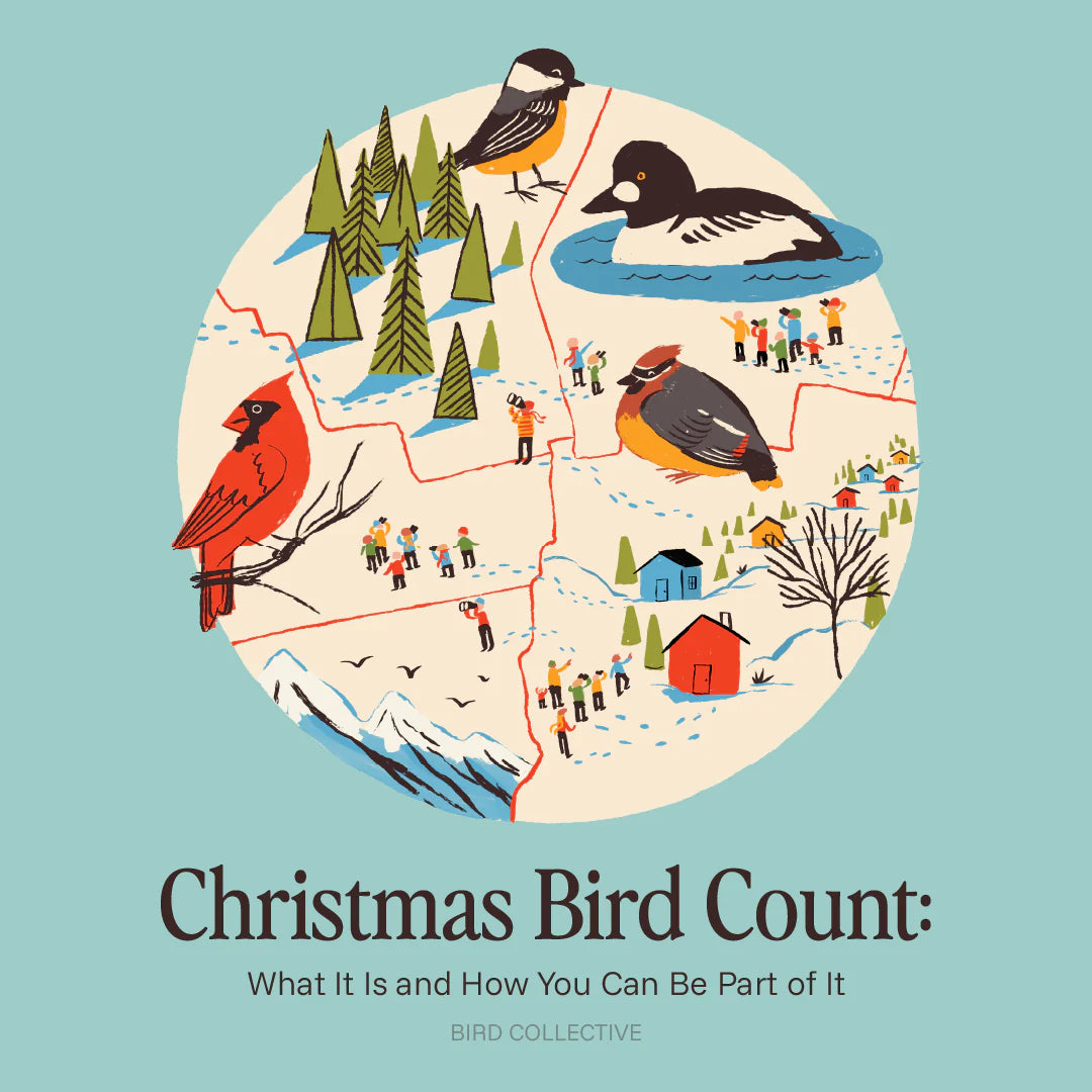 Illustration of birds and birders across a winter map representing the Christmas Bird Count.