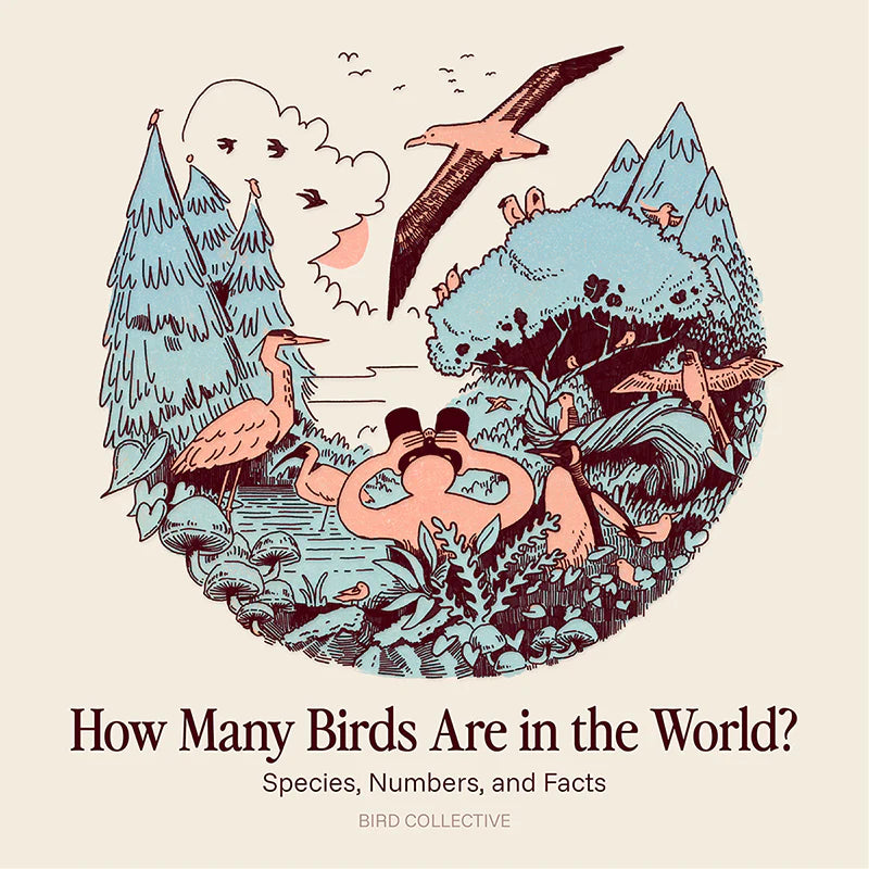 Illustration of a person birding with binoculars surrounded by diverse birds and habitats, with the title “How Many Birds Are in the World?”