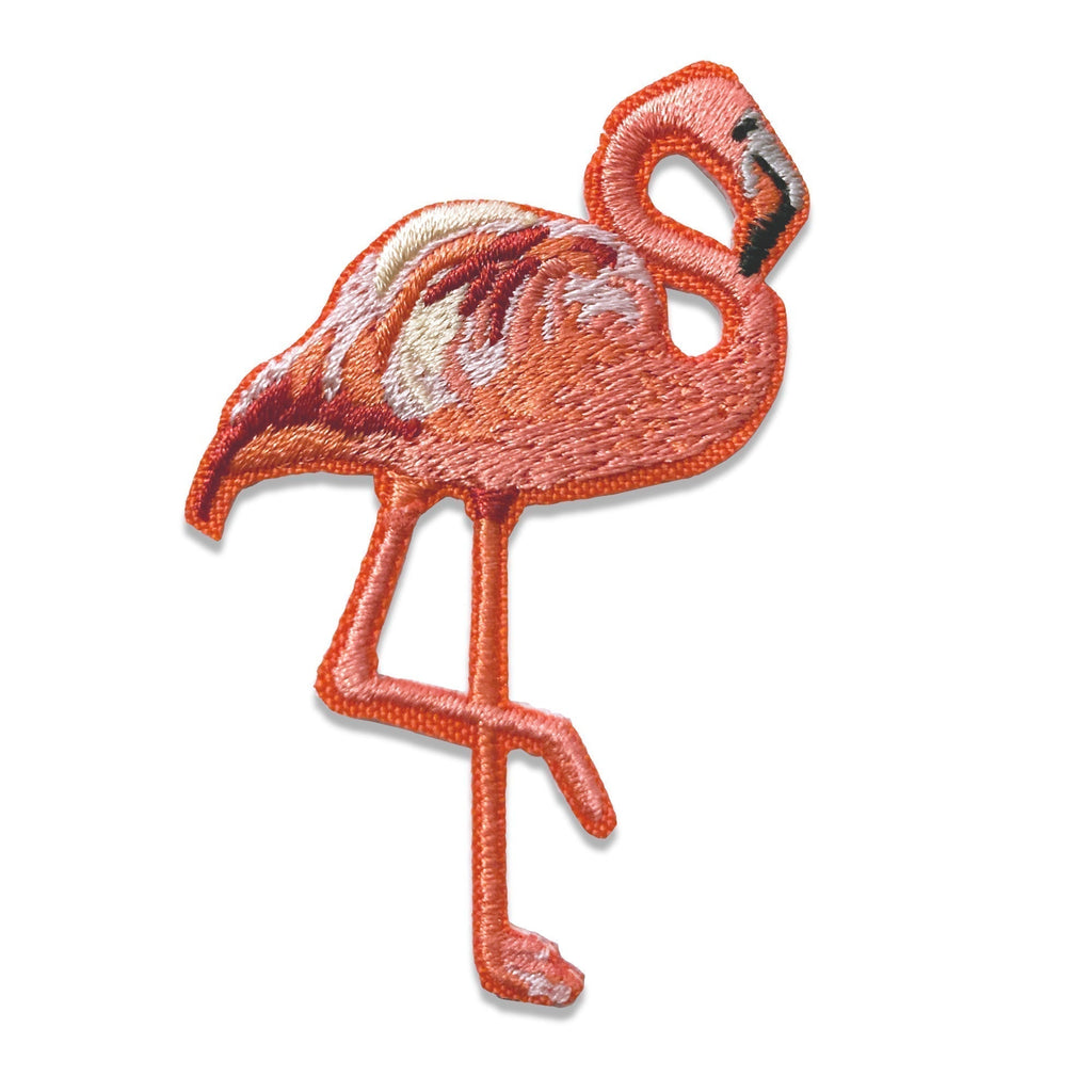 American Flamingo Bird Collective american-flamingo-bird-collective