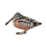 American Woodcock Patch