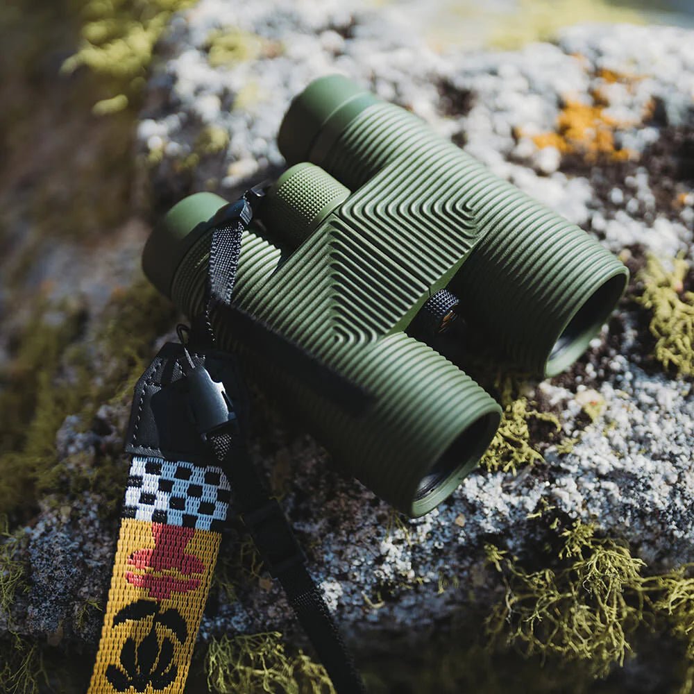 Nocs Pro Issue 8x42 Binoculars for Birdwatching – Bird Collective