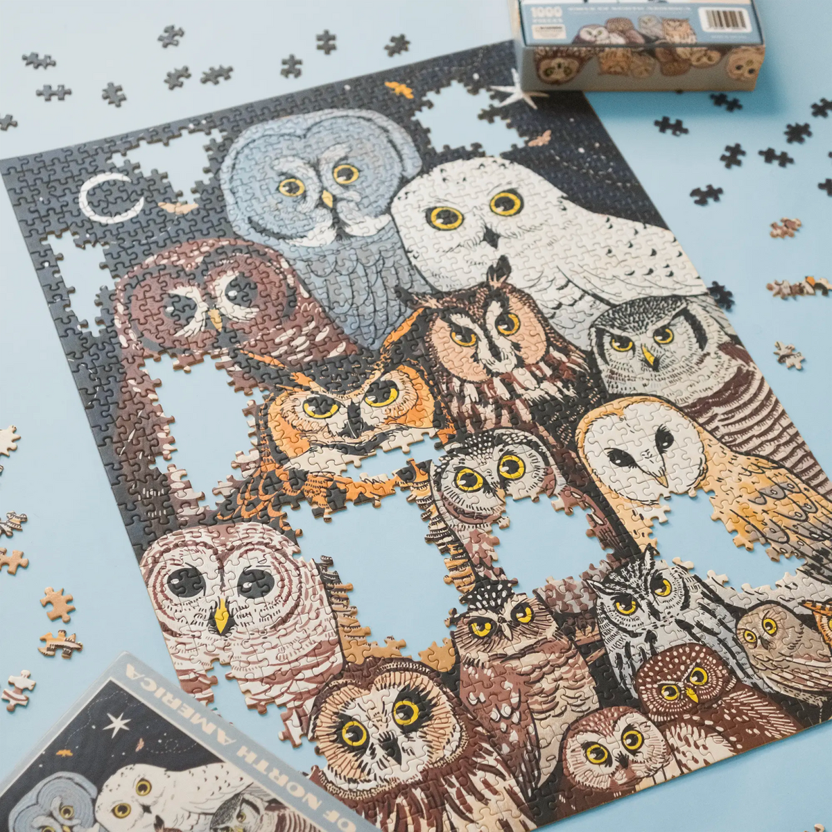 Owls of North America Puzzle | Bird Collective Owls of North America Puzzle | Bird Collective