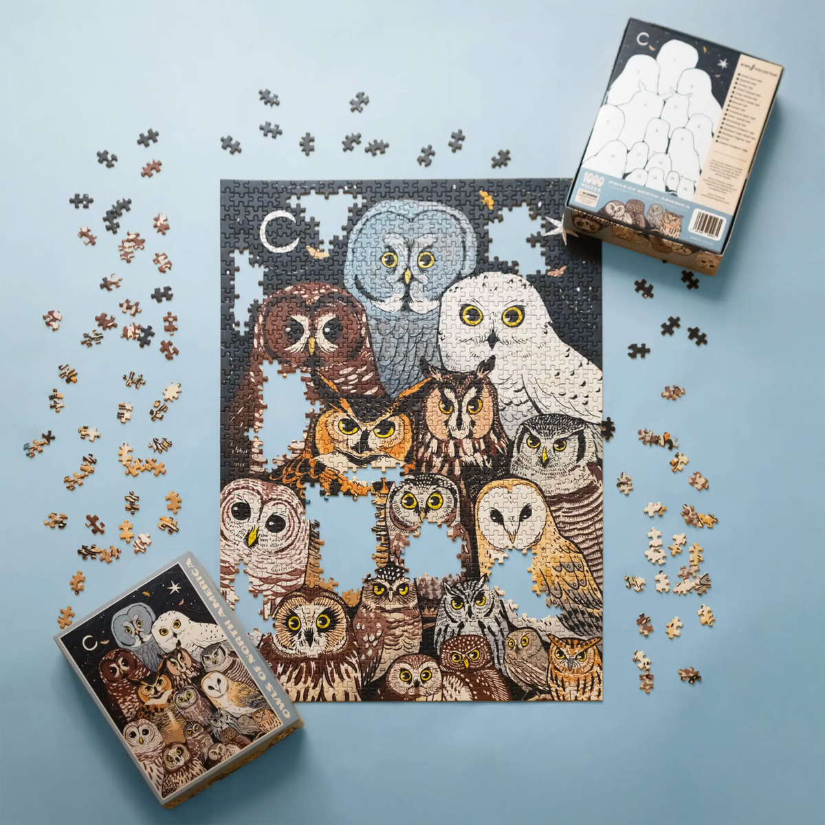 Owls of North America Puzzle | Bird Collective
