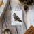 Bird Collective - Short-eared Owl Patch - -