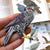 Bird Collective - American Goshawk Patch - -