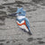 Bird Collective - Belted Kingfisher Patch - -
