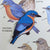 Bird Collective - Eastern Bluebird Patch - -