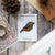 Bird Collective - Red-breasted Nuthatch Patch - -