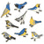 Bird Collective - Warblers Sticker Pack - -