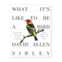 What It's Like to Be a Bird by David Allen Sibley