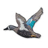 Blue-winged Teal Patch