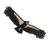 California Condor Patch