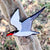 Bird Collective - Caspian Tern Patch - -