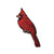 Bird Collective - Northern Cardinal Patch - -
