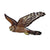 Bird Collective - Northern Harrier Patch - -