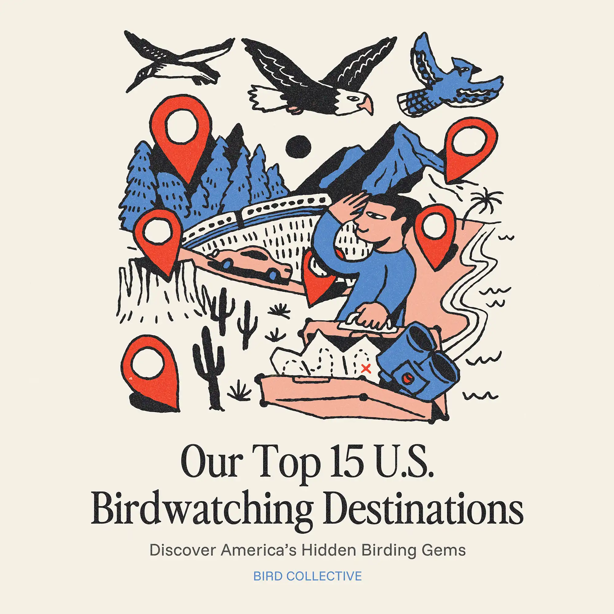 Illustrated map-style graphic showing birds, travel icons, and landmarks with the title “Our Top 15 U.S. Birdwatching Destinations” by Bird Collective.