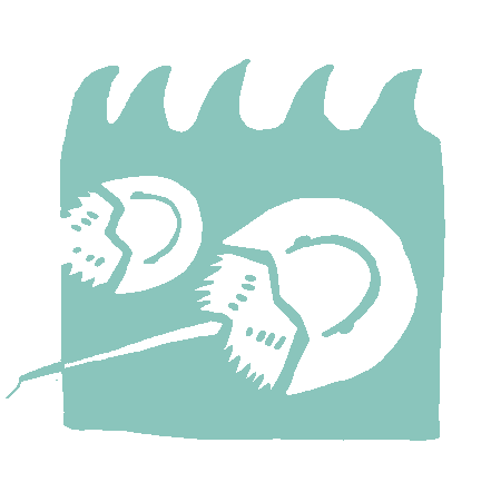 What is the Littoral Zone?