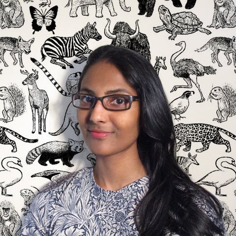 Artist Profile: Sayada Ramdial - Bird Collective