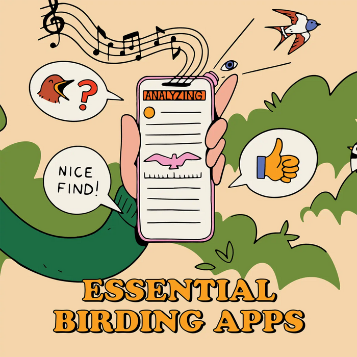 Essential Apps for Bird Identification, Tracking, and Community Building - Bird Collective