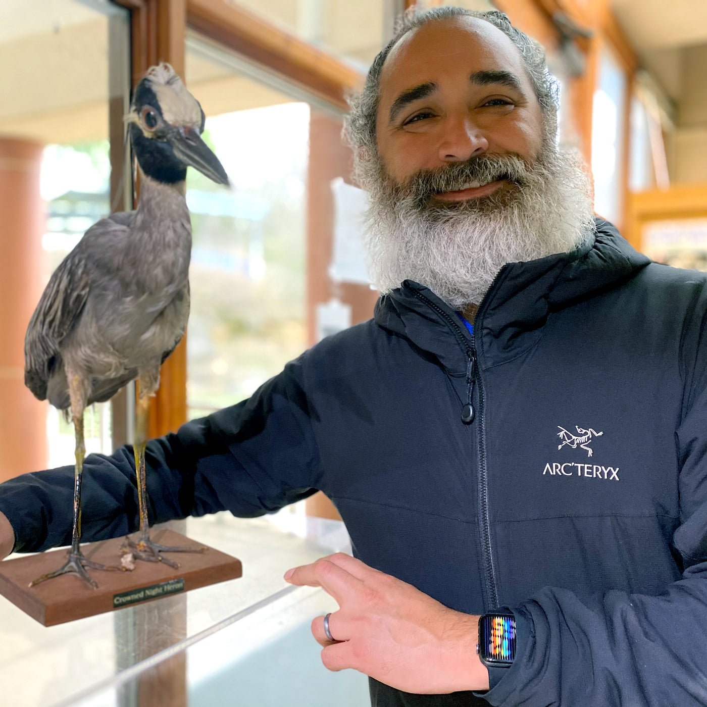 Meet JCR WORK - Bird Collective