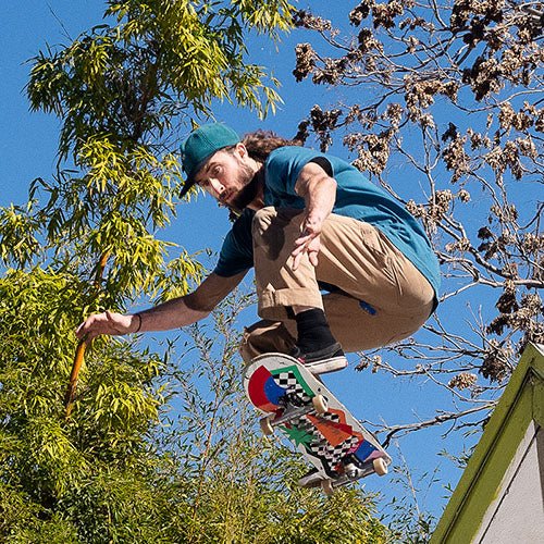 Meet the Birder: Dave Mull - Bird Collective