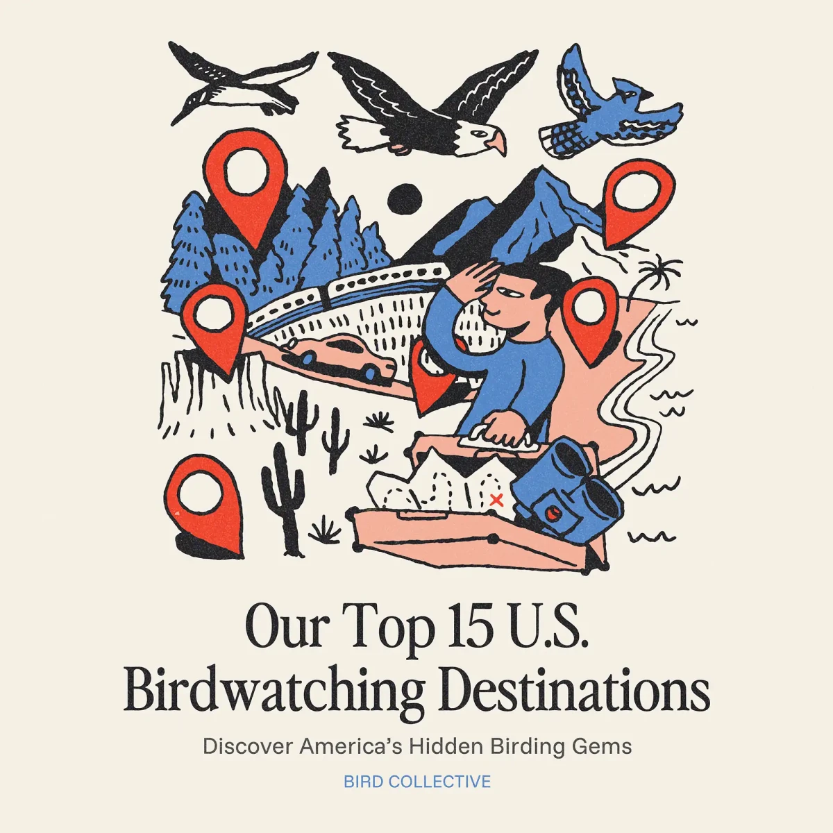 Our 15 Top U.S. Birdwatching Destinations - Bird Collective