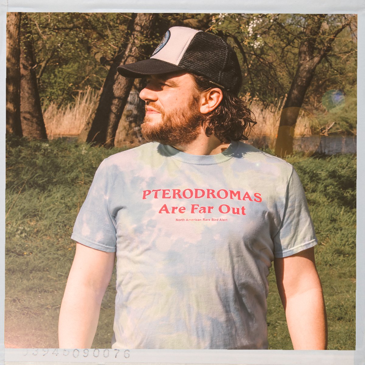 Rediscovering NARBA - Bird Collective