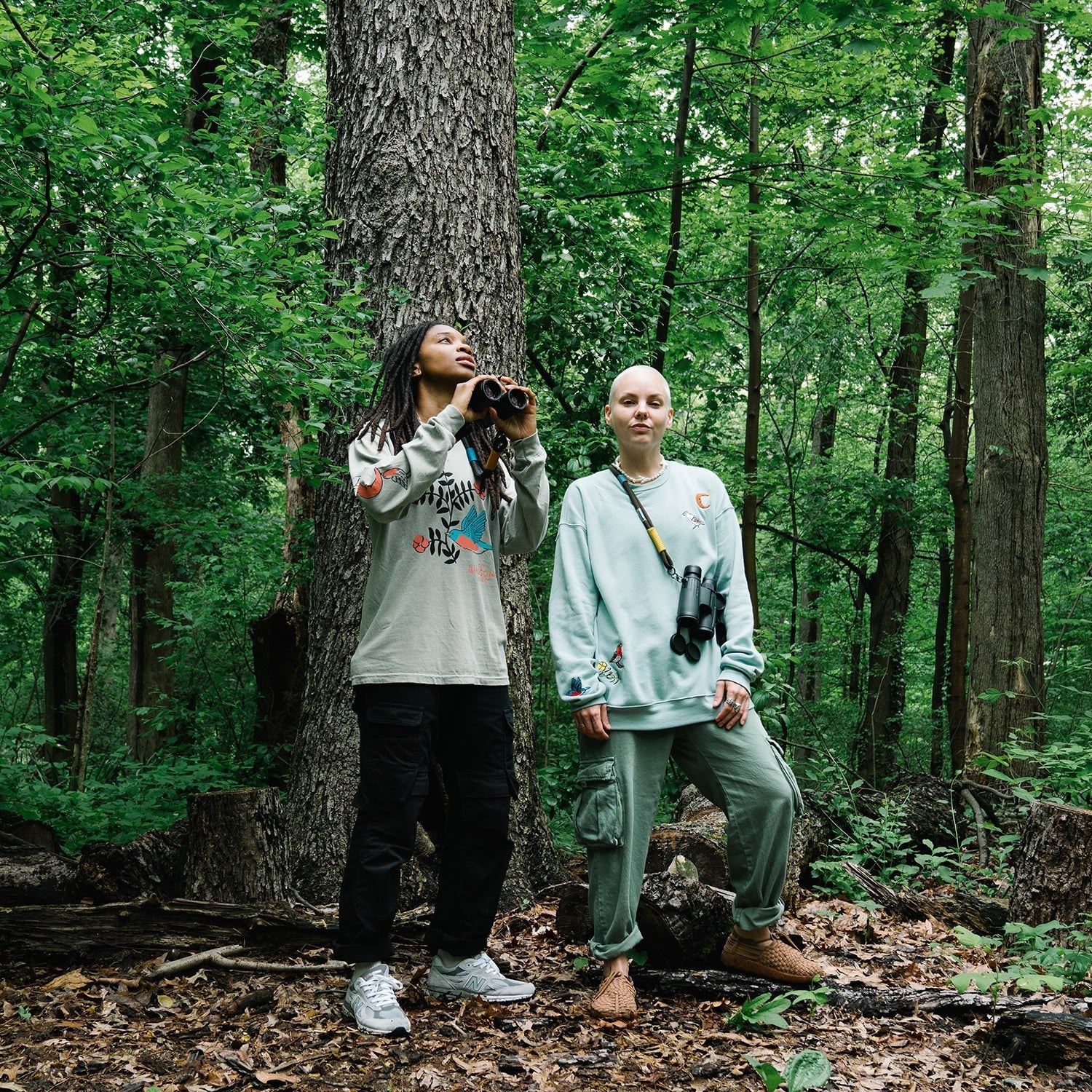 The Birdsong Project - Bird Collective