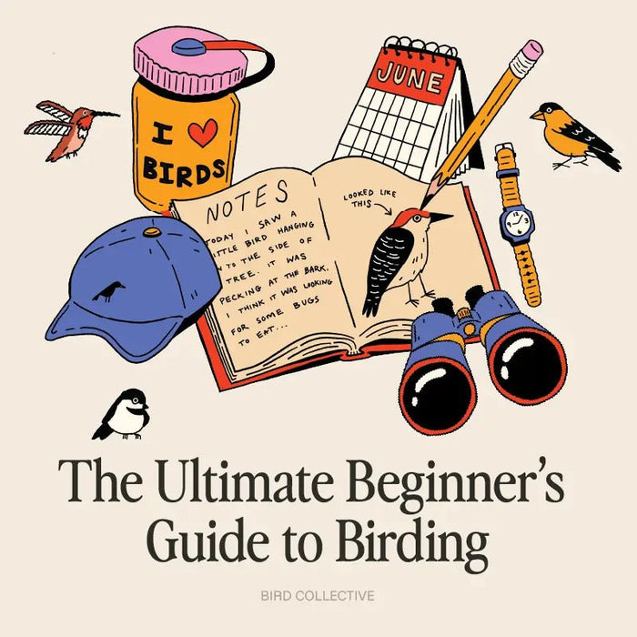 The Ultimate Beginner’s Guide to Birding - Bird Collective