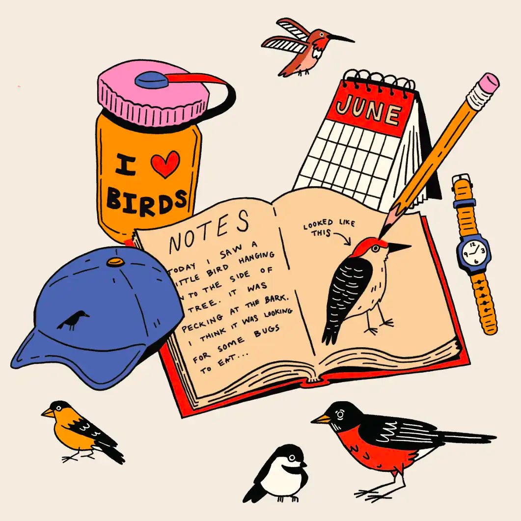 The Ultimate Beginner’s Guide to Birding - Bird Collective