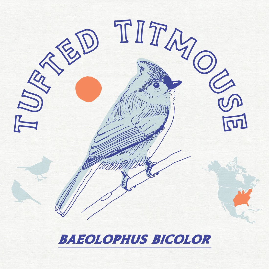 Tufted Titmouse: A Backyard Bird Favorite - Bird Collective