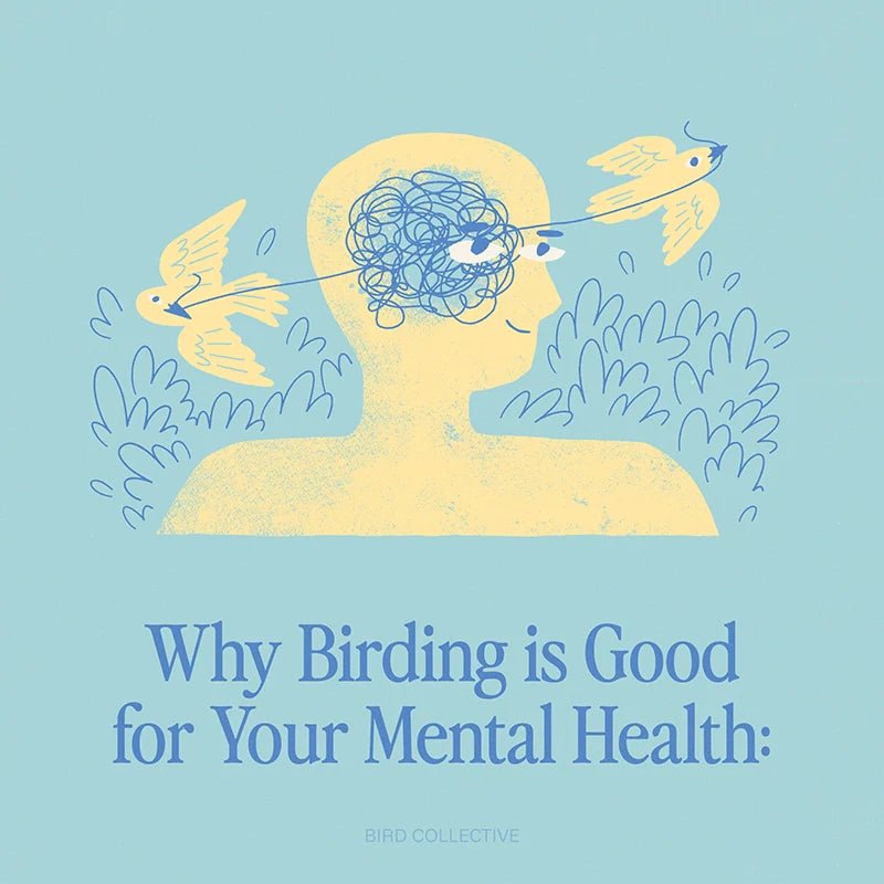 Why Bird Watching is Good for Your Mental Health - Bird Collective