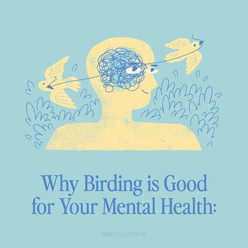 Why Bird Watching is Good for Your Mental Health - Bird Collective
