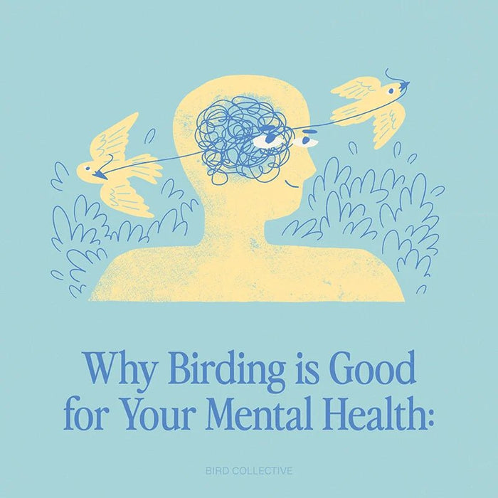 Why Bird Watching is Good for Your Mental Health - Bird Collective