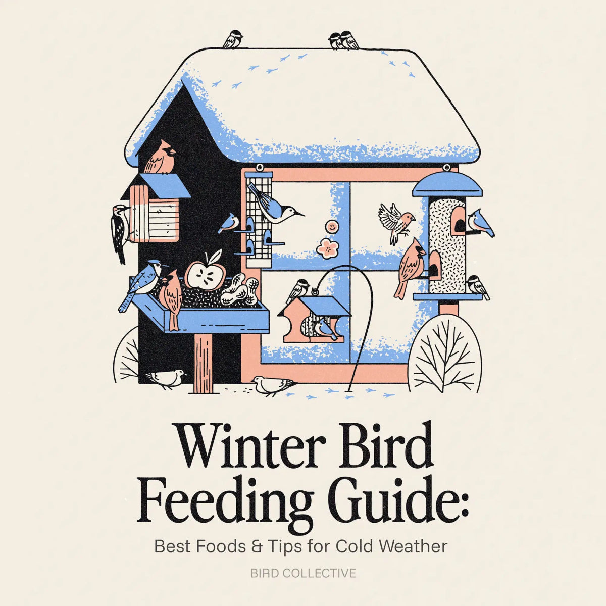 Winter Bird Feeding Guide: Best Foods & Tips for Cold Weather - Bird Collective