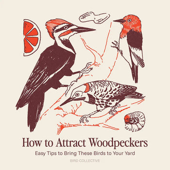 Stylized illustration of three woodpeckers with red or orange heads perched on branches, accompanied by simple fruit and insect motifs.