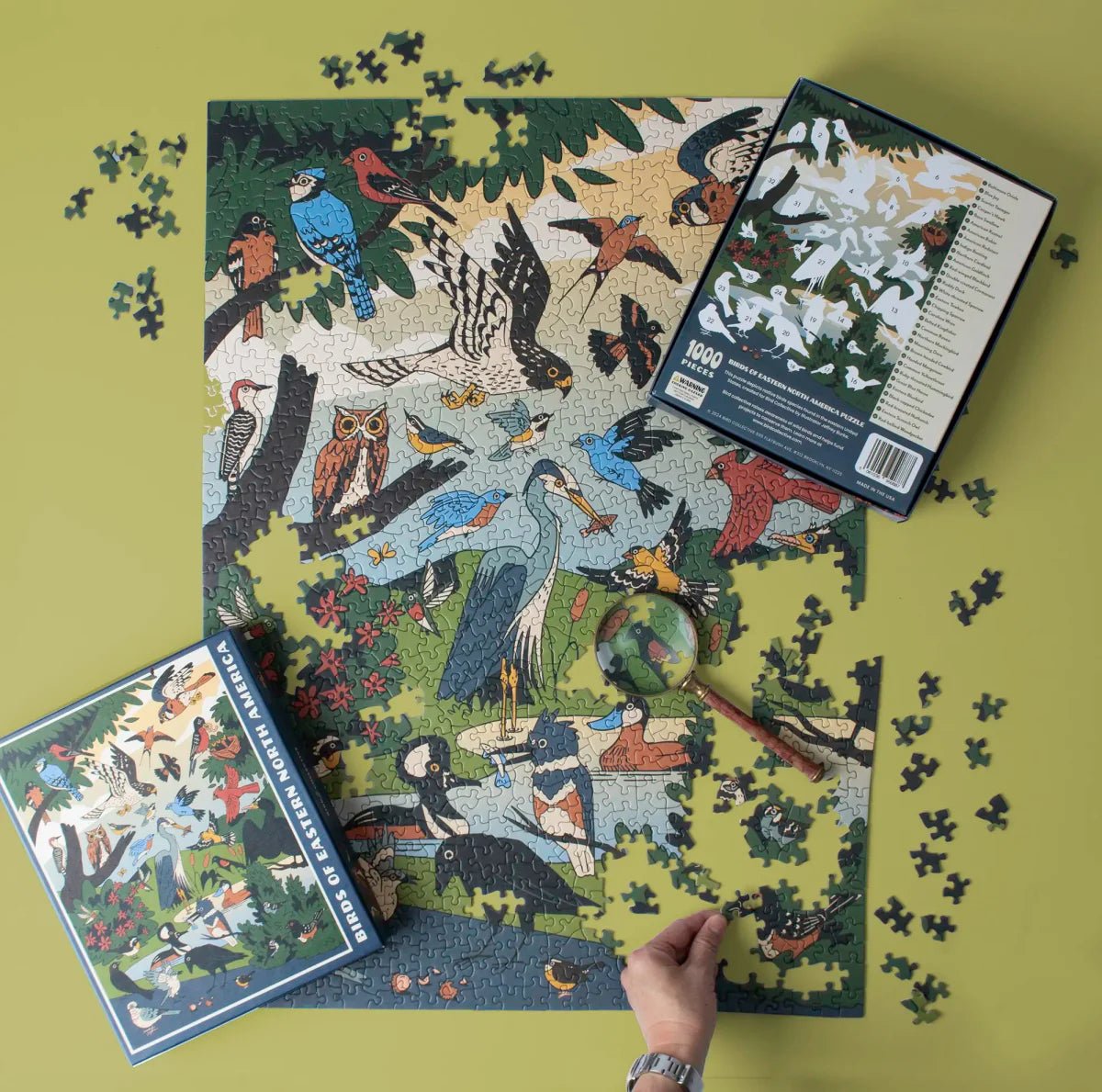 Bird Games and Puzzles | Bird Collective