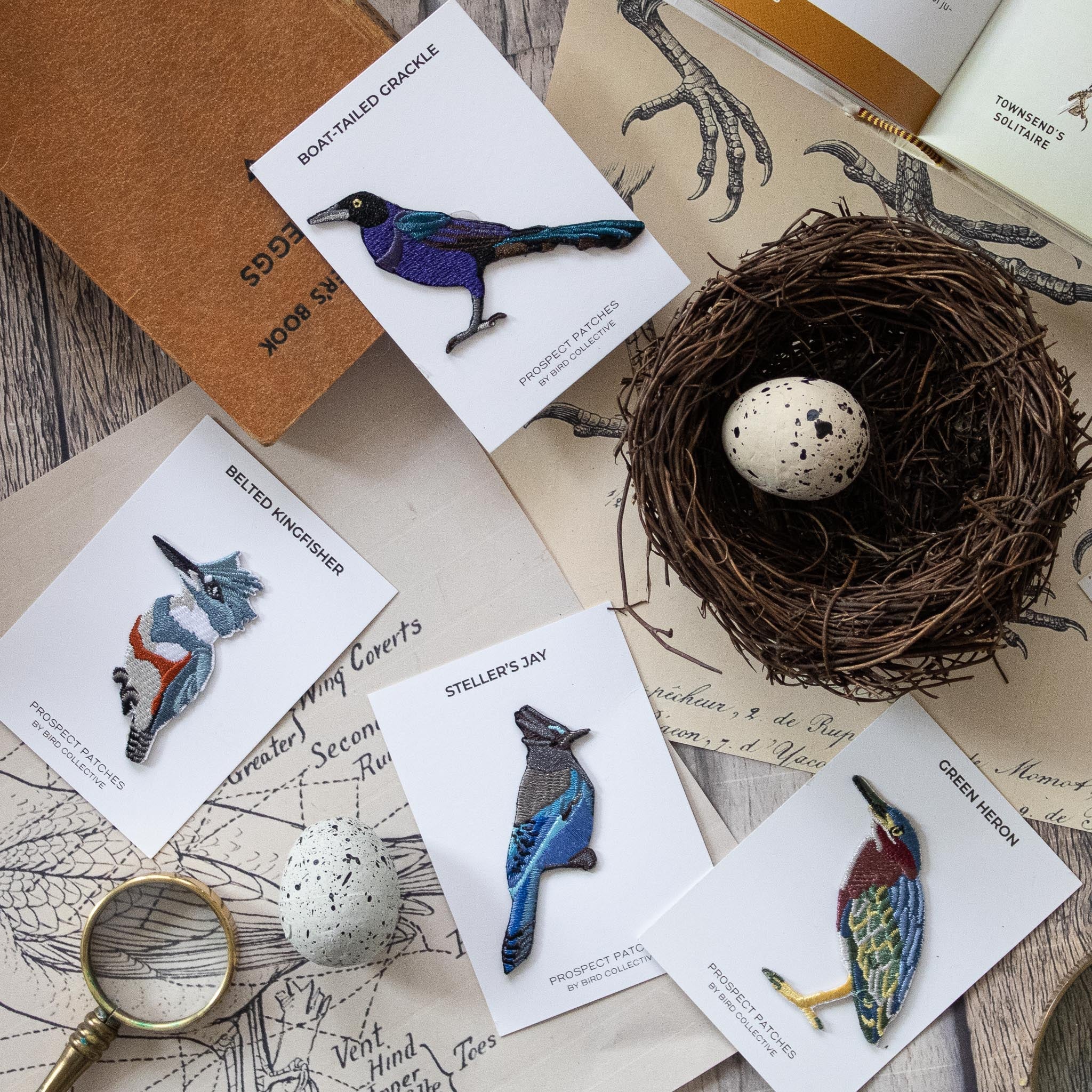 bird-patches-322049.jpg?v=