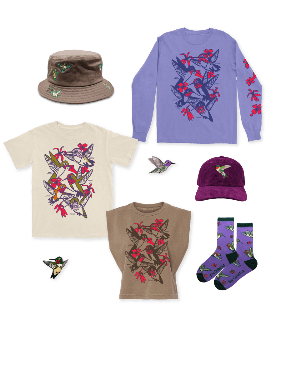 Hummingbird Collection – Bird Collective