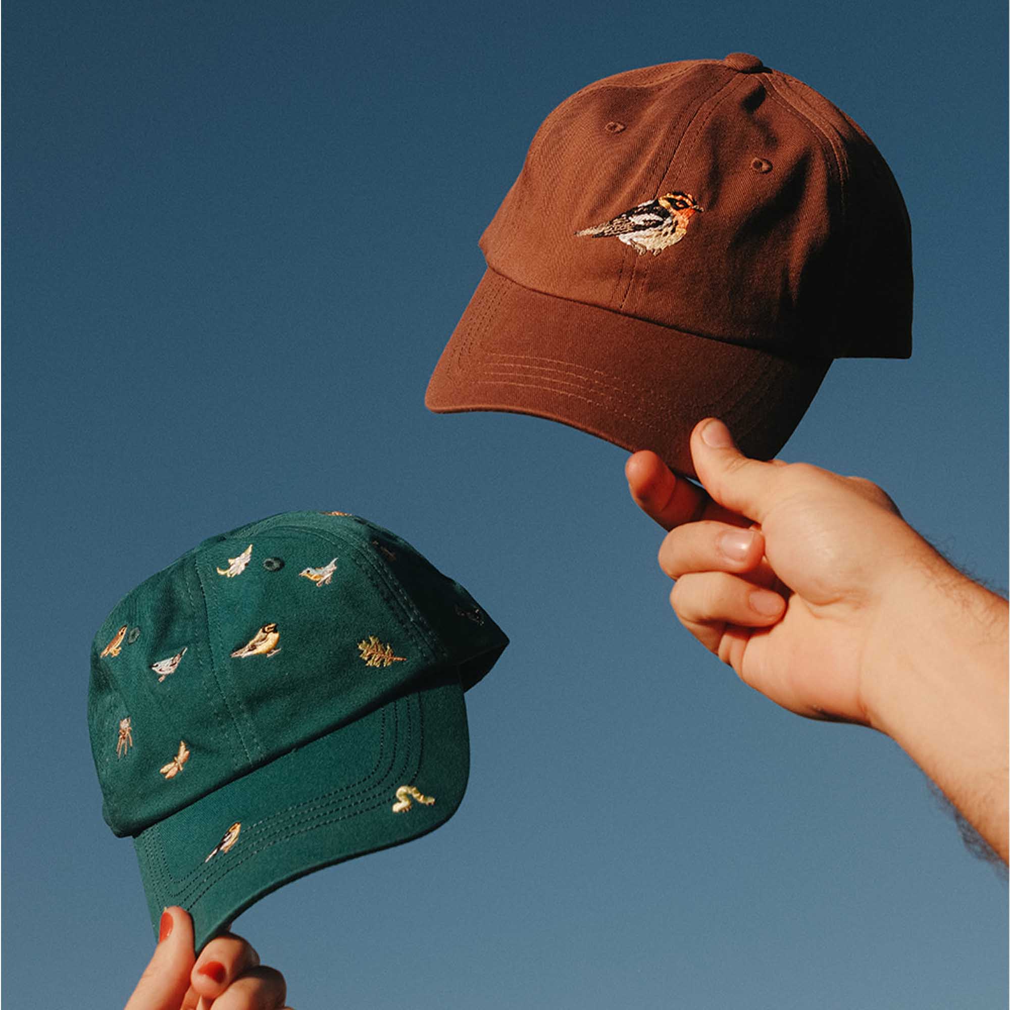 Two baseball caps, one brown and one green, both with embroidered birds, held against a clear blue sky.