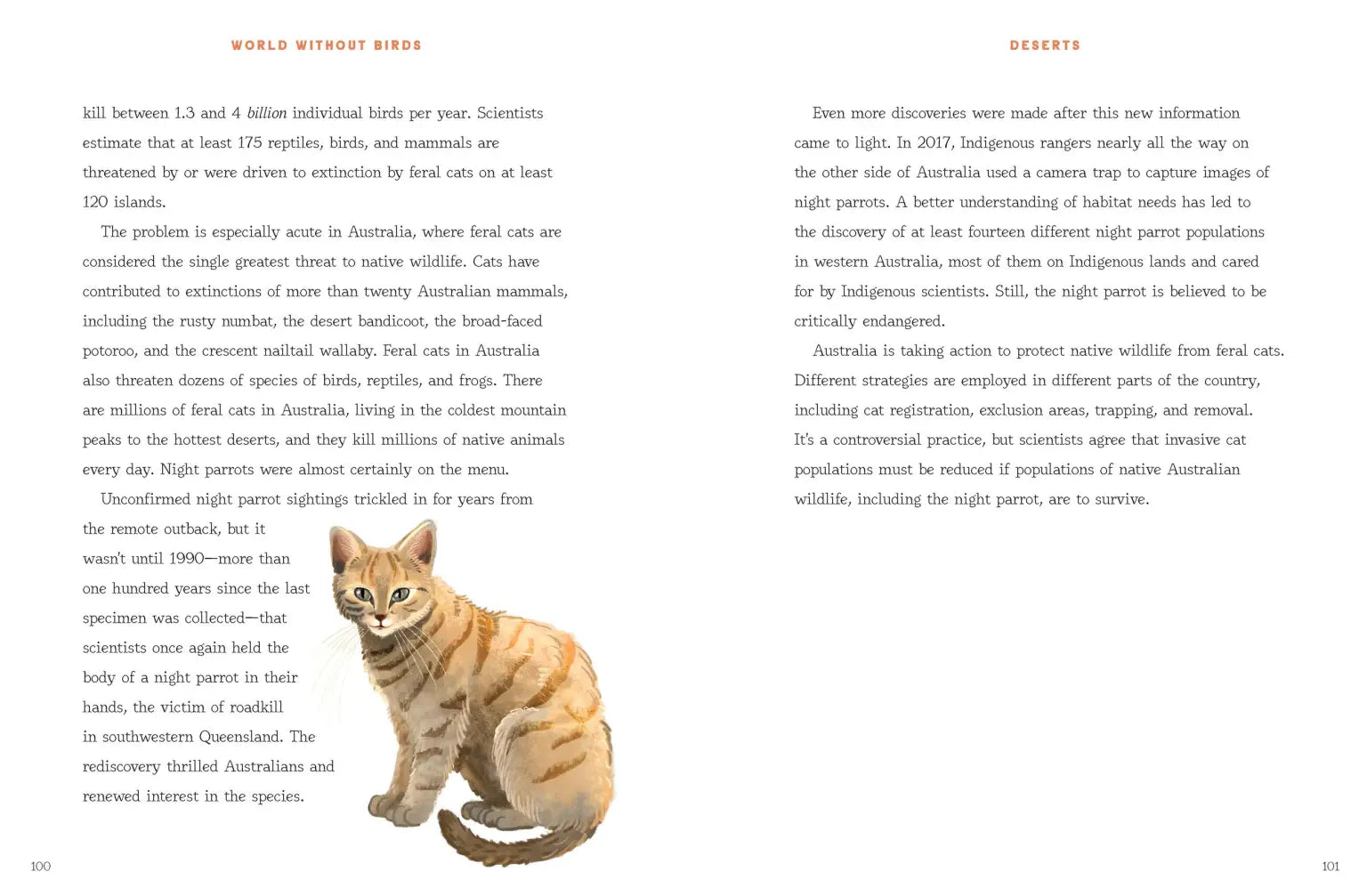 A beautifully illustrated guide on bird conservation and how we can help.