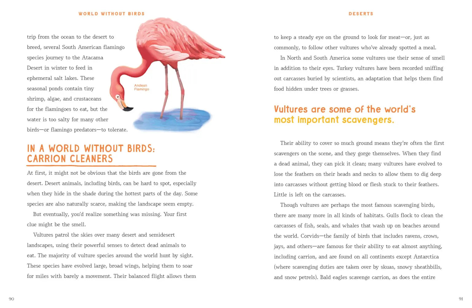 A beautifully illustrated guide on bird conservation and how we can help.