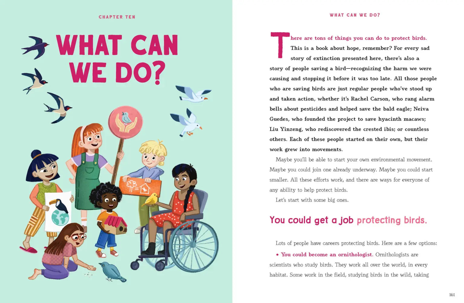 A beautifully illustrated guide on bird conservation and how we can help.