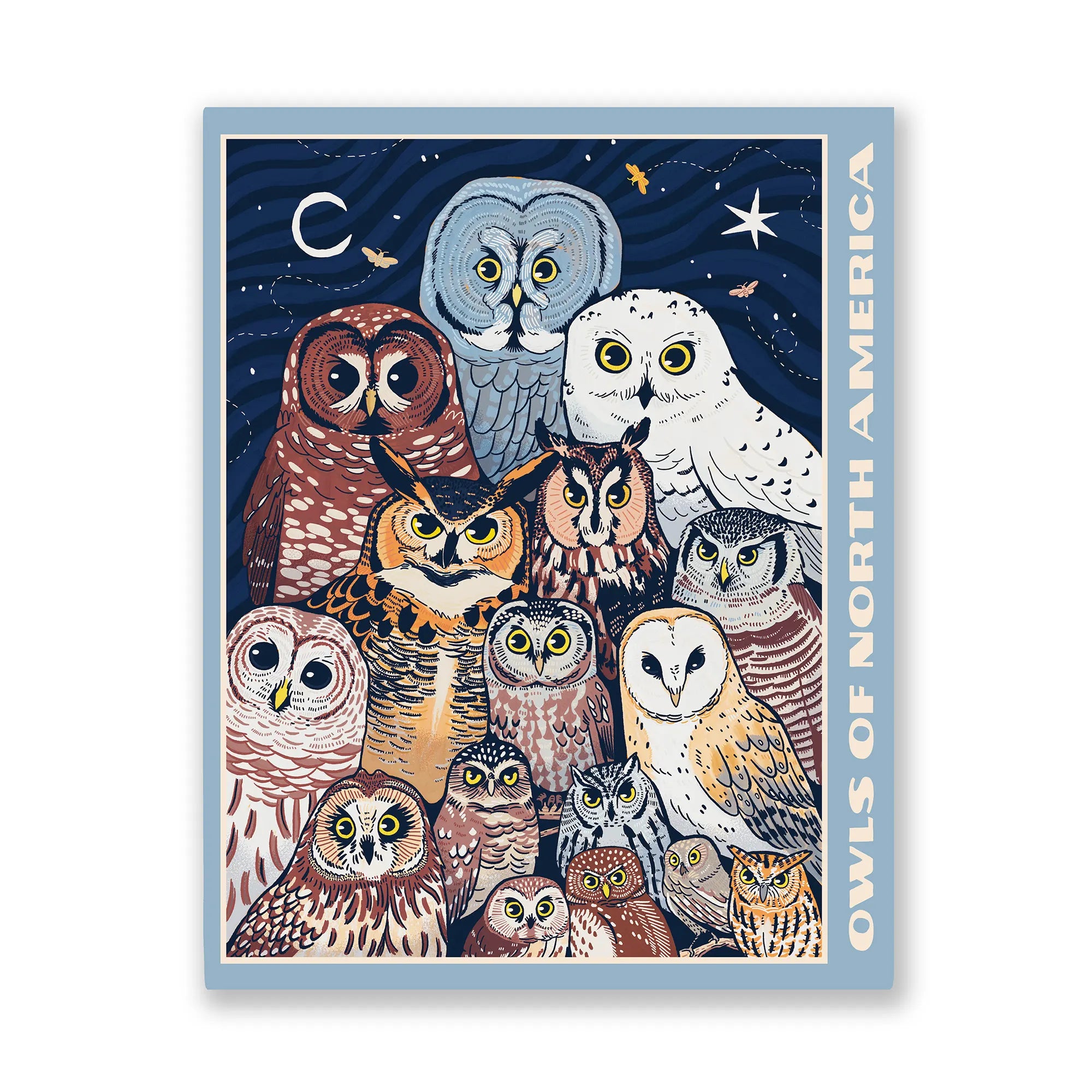 Owls of North America Puzzle