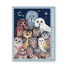 Owl 3枚セット まとめ売り CD Owls of North America Puzzle | Bird Collective