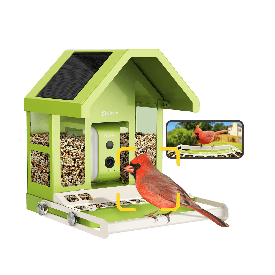 Smart bird feeder featuring a metal body, solar panel, and 1080p camera.