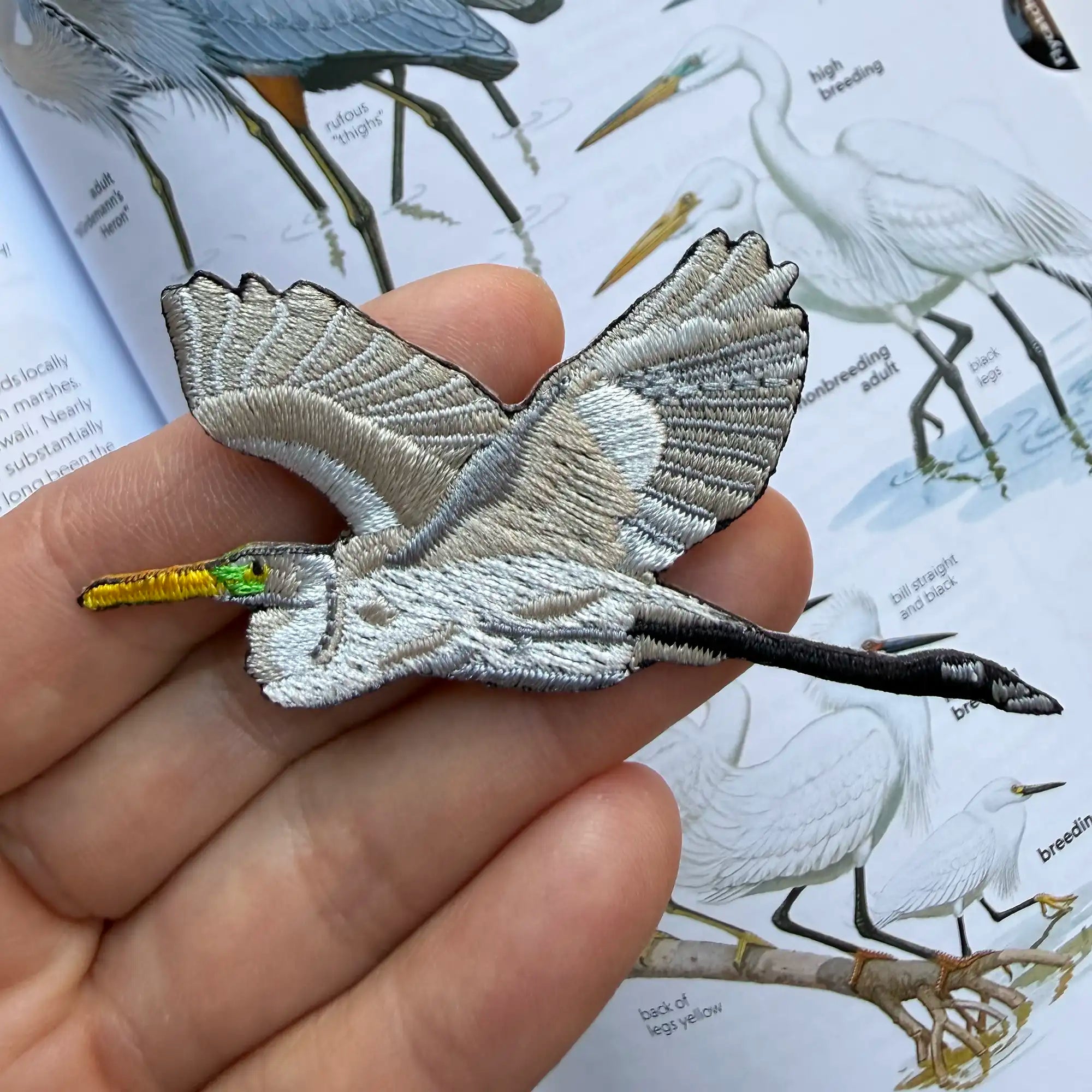 Great Egret Patch