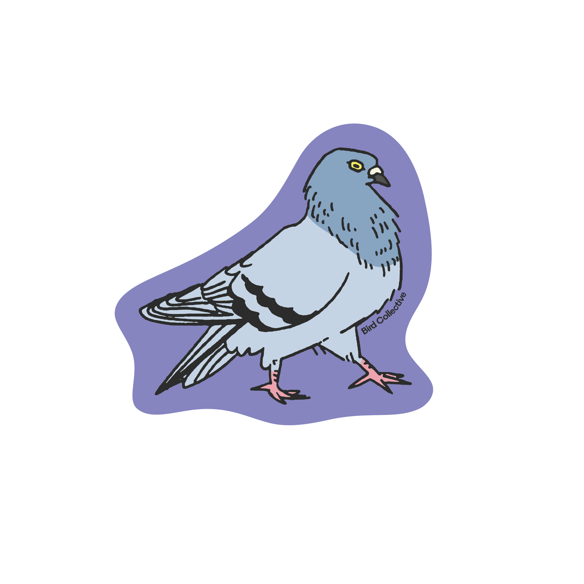 pigeon