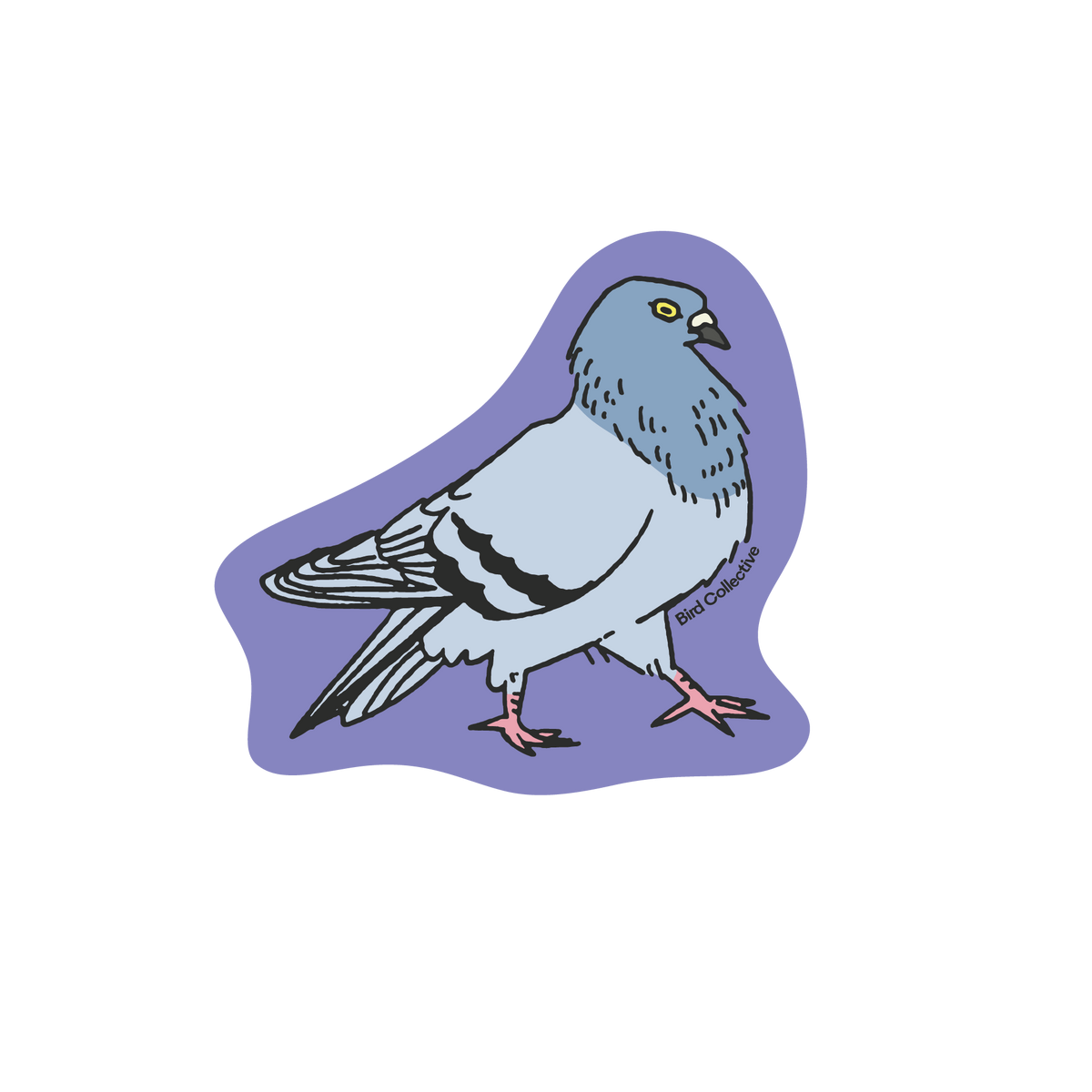 pigeon